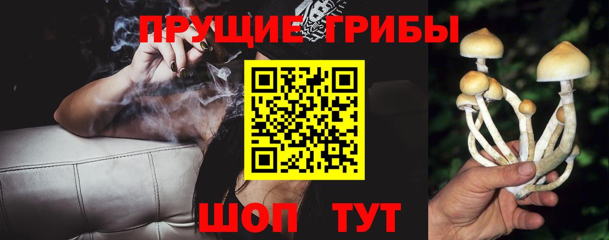 Галлюциногенные грибы MAGIC MUSHROOMS  Вход с VPN  Екатеринбург 